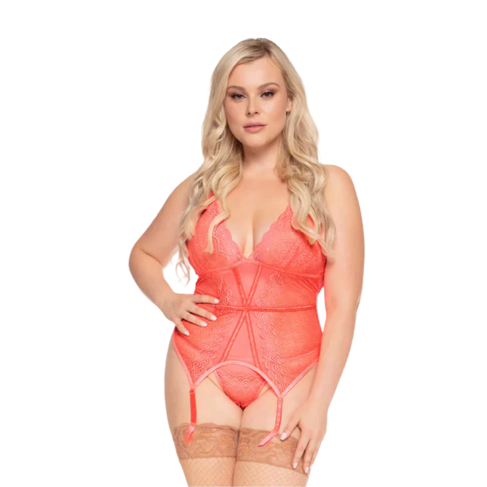 Mesh & Lace Garter Bustier Set