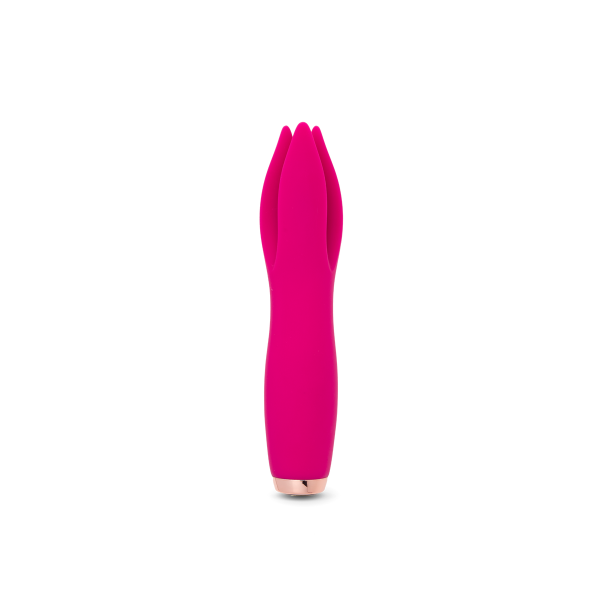 Tulip