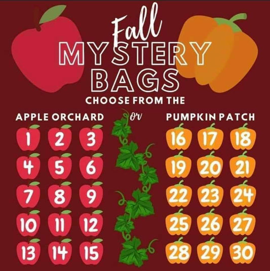 Fall mystery bags